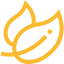 FAQ 5 leaf ylw