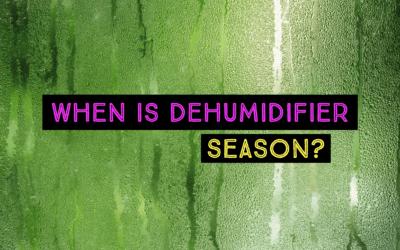 WHEN IS DEHUMIDIFIER SEASON? 